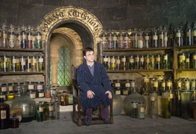 Harry-pajamas-snapes-office