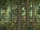 Hogwarts-legacy-wallpaper.jpg