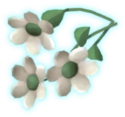 Löffelkraut