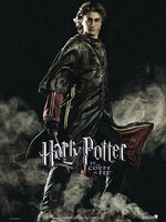 Harry poster