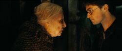 Bathilda Bagshot and Harry Potter