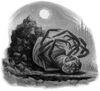 C22-after-the-burial