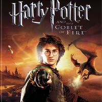 Harry Potter And The Goblet Of Fire Video Game Harry Potter Wiki Fandom Harry Potter And The Goblet Of Fire Video Game Harry Potter Wiki Fandom