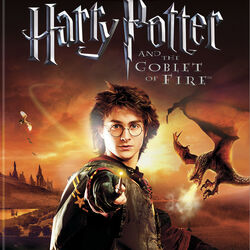 Harry potter ds games hot sale