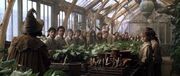 Professora Sprout e alunos