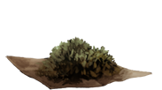 DriedNettles.png