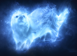 Hermione Otter Patronus