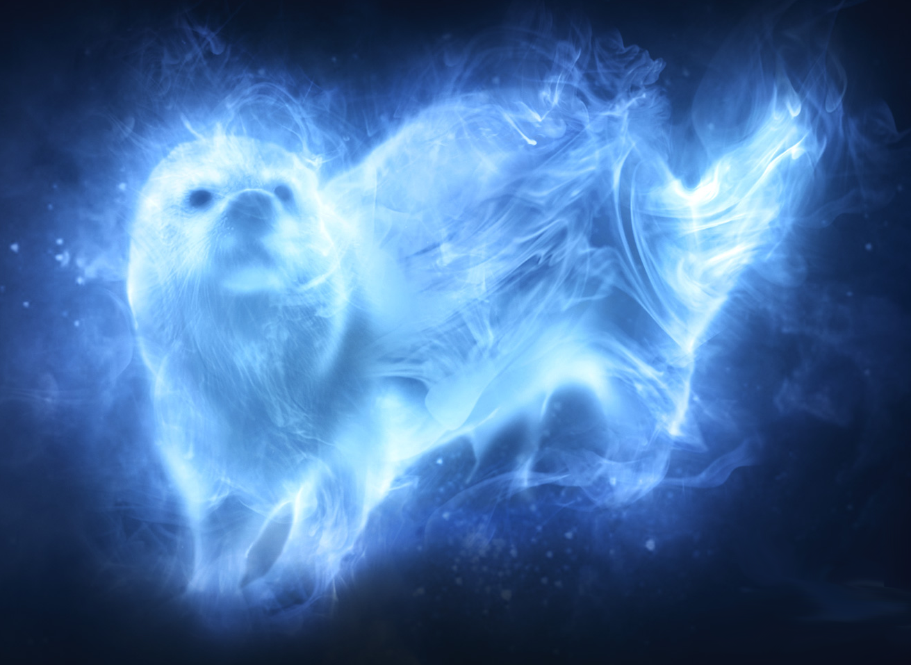 otter patronus