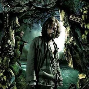 Harry Potter And The Prisoner Of Azkaban Film Harry Potter Wiki Fandom