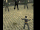 Ventus.gif