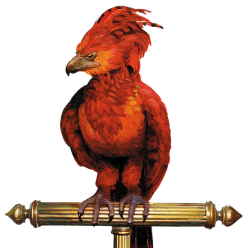 フォークス Harry Potter Wiki Fandom