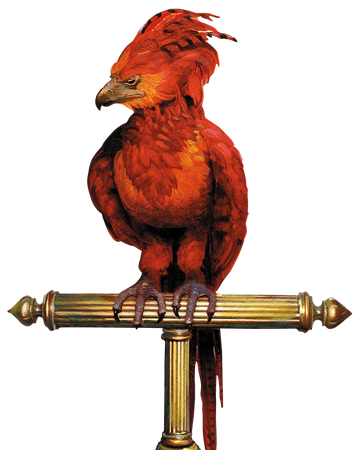 フォークス Harry Potter Wiki Fandom フォークス Harry Potter Wiki Fandom