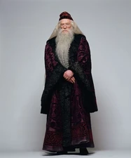 Альбус Дамблдор