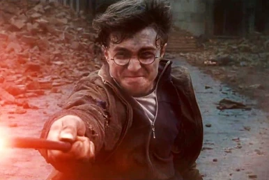 ウィンガーディアム レヴィオーサ | Harry Potter Wiki | Fandom