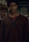 Daan Tomas