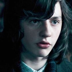 カテゴリ チョウ チャンの恋愛関係 Harry Potter Wiki Fandom カテゴリ チョウ チャンの恋愛関係 Harry Potter Wiki Fandom