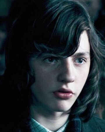 Michael Corner Harry Potter Wiki Fandom