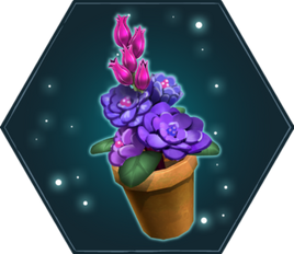 Champifleur (HPSP)