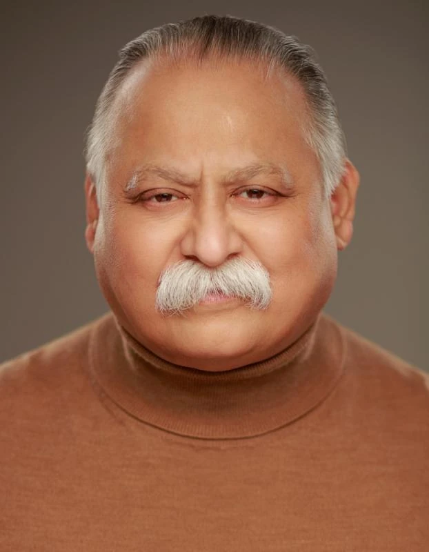 Deepak Anand Harry Potter Wiki Fandom