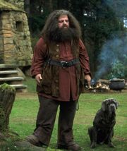 Hagrid1991