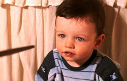 Harry godric's hollow baby the boy who lived