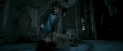 Lupin disarms Harry