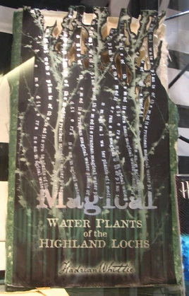MagicalWaterPlantsoftheHighlandLochs