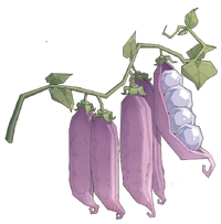Un champifleur (HPME)