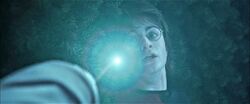 Harry during the maze task