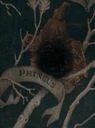 Firminus Zwarts