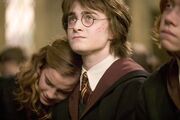 6-stills-mq-scarpotter-13 large