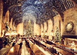 Christmas-great-hall-harry-potter-hogwarts-snow-winter-Favim.com-64426 large