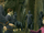 Forbidden Forest skirmish OOTPG GBA.png