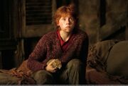 KinopoiskruHarryPotterandthePrisonerofAzkaban1558459