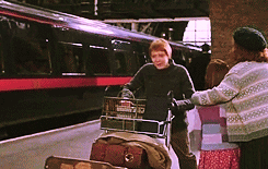 Harry Potter 9 3/4 platform – CooperCustomCreation