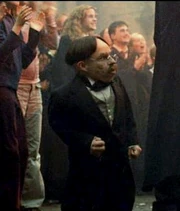 Professor-Flitwick-filius-flitwick-28226873-362-425