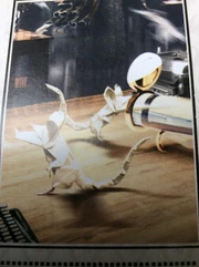 Rat memos as seen in 