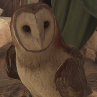 Owls, Pottermore Wiki