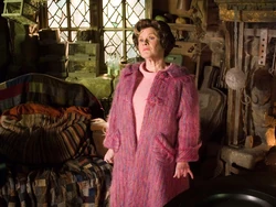 Dolores Umbridge in Hagrid's hut