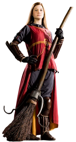Ginny Weasley Quidditch Seeker