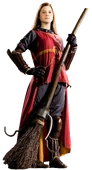 Ginny Weasley Quidditch Seeker.png (8.1 MB)