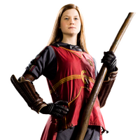 Quidditch Uniform Harry Potter Wiki Fandom