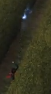 Piscifors.png
