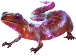SalamanderWU