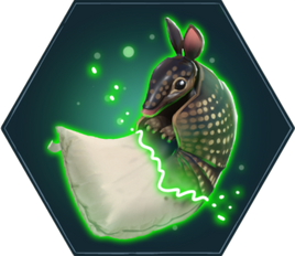 SwitchPillow&ArmadilloHM
