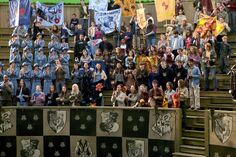 Audiences of the Triwizard Tournament's Third Task