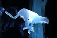 Gepard jako patronus