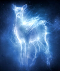 Doe Patronus