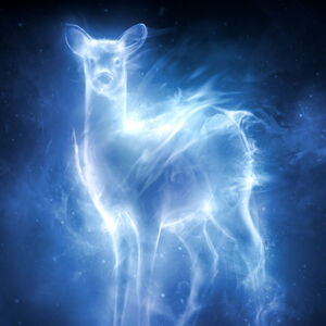 Patronus Charm Harry Potter Wiki Fandom