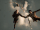 Professor Fig's wandless use of the Summoning Charm.gif